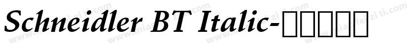 Schneidler BT Italic字体转换